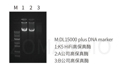 22.9 高保真酶圖2.jpg